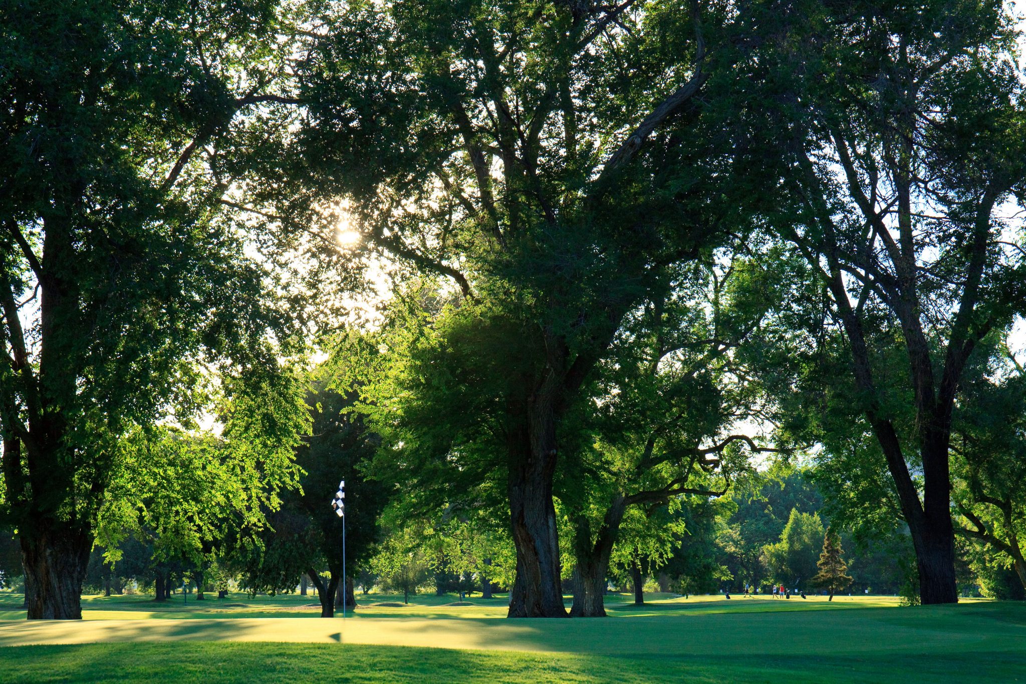 Golf Course Kamloops Golf & Country Club