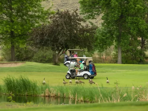 Spousal Weekday Golf Cart<br>5 Day - 18 Hole